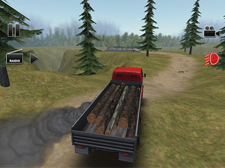 Truck Driver Crazy Road
